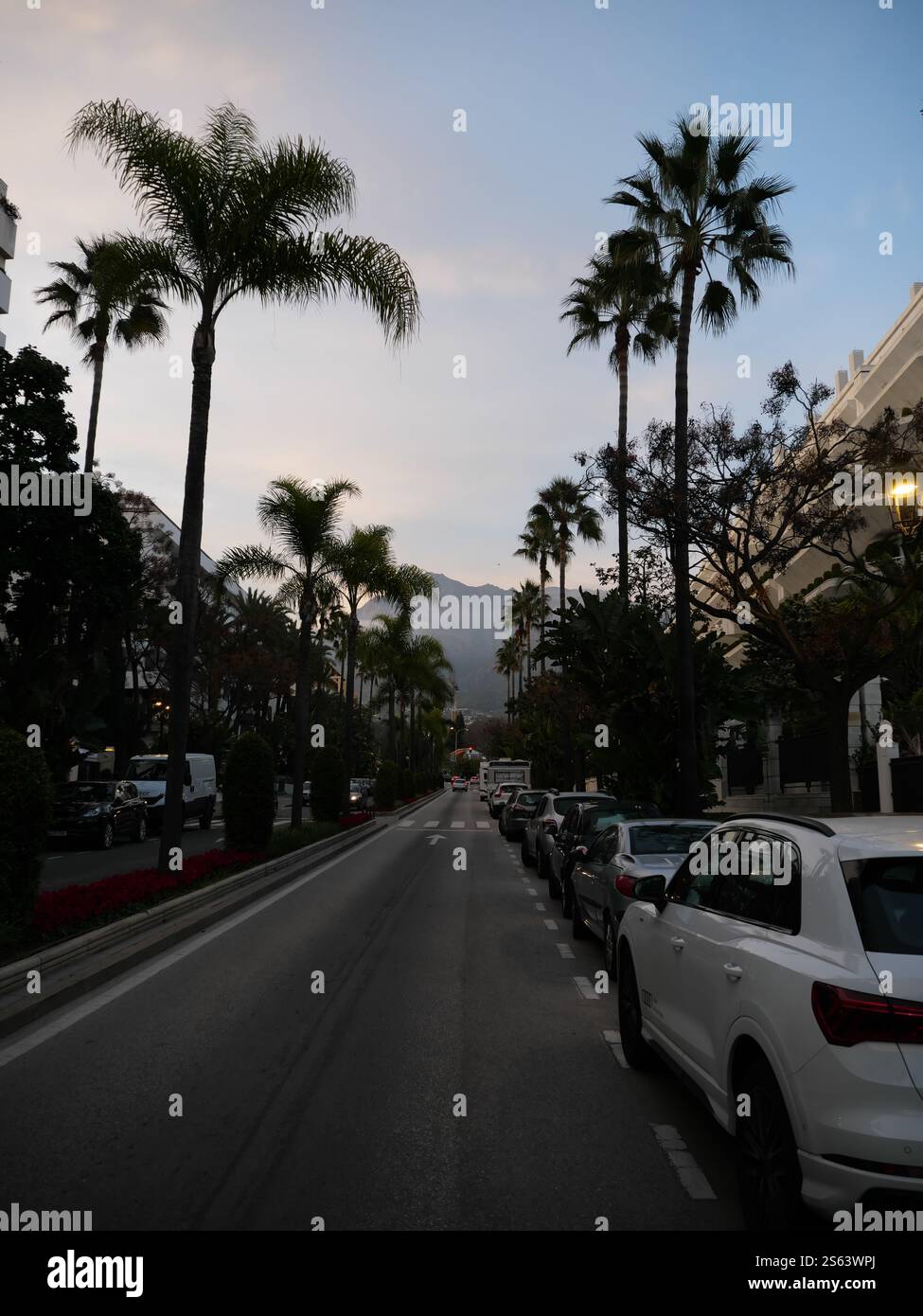 Silhouettes of Plamen in the sunset of Marbella Spain Stock Photo