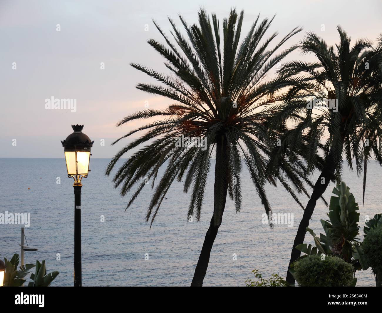 Silhouettes of Plamen in the sunset of Marbella Spain Stock Photo