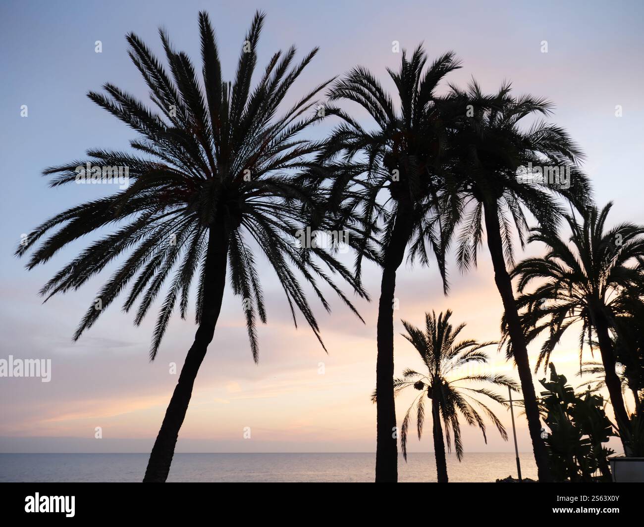 Silhouettes of Plamen in the sunset of Marbella Spain Stock Photo