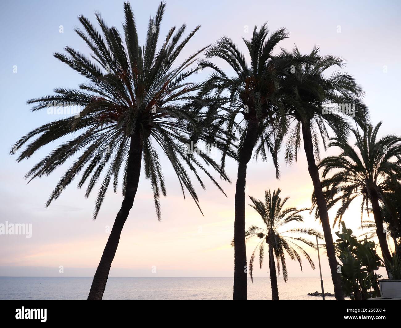 Silhouettes of Plamen in the sunset of Marbella Spain Stock Photo