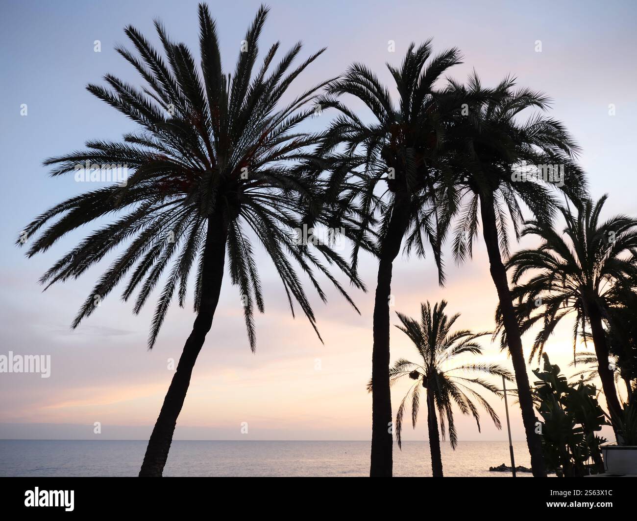 Silhouettes of Plamen in the sunset of Marbella Spain Stock Photo