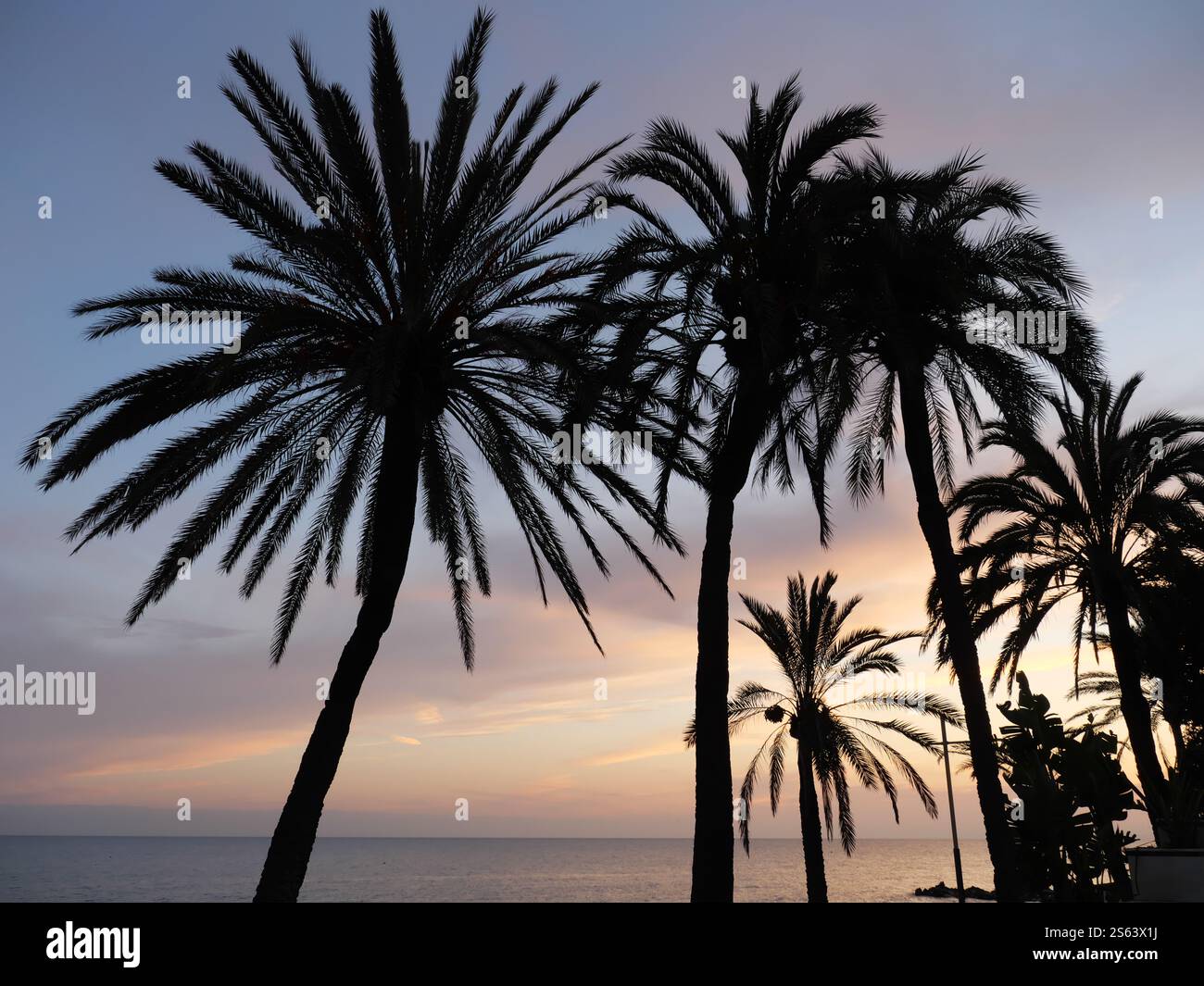 Silhouettes of Plamen in the sunset of Marbella Spain Stock Photo