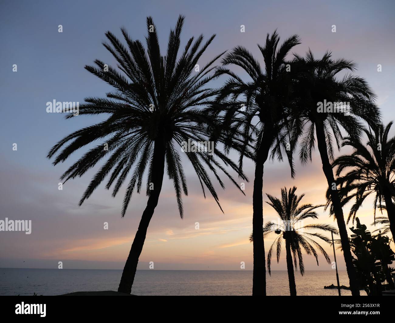 Silhouettes of Plamen in the sunset of Marbella Spain Stock Photo