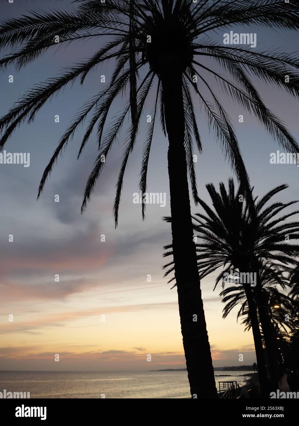 Silhouettes of Plamen in the sunset of Marbella Spain Stock Photo