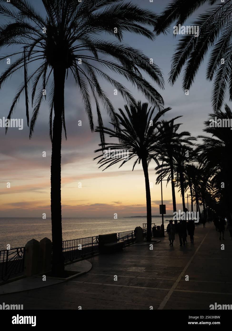 Silhouettes of Plamen in the sunset of Marbella Spain Stock Photo