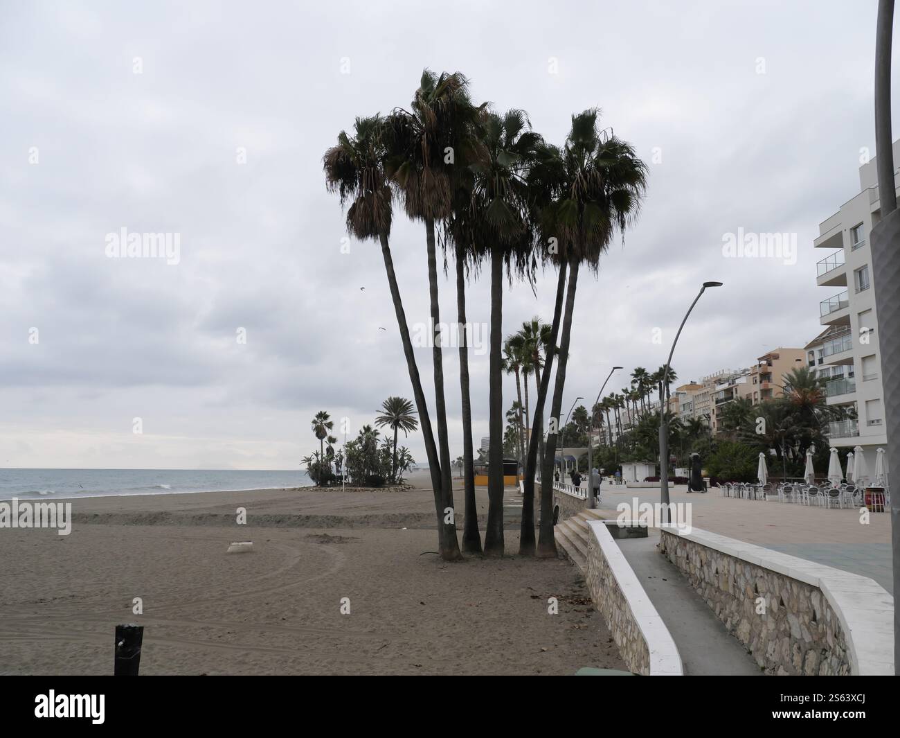 Plamen on the beach of Estepona Spain Stock Photo