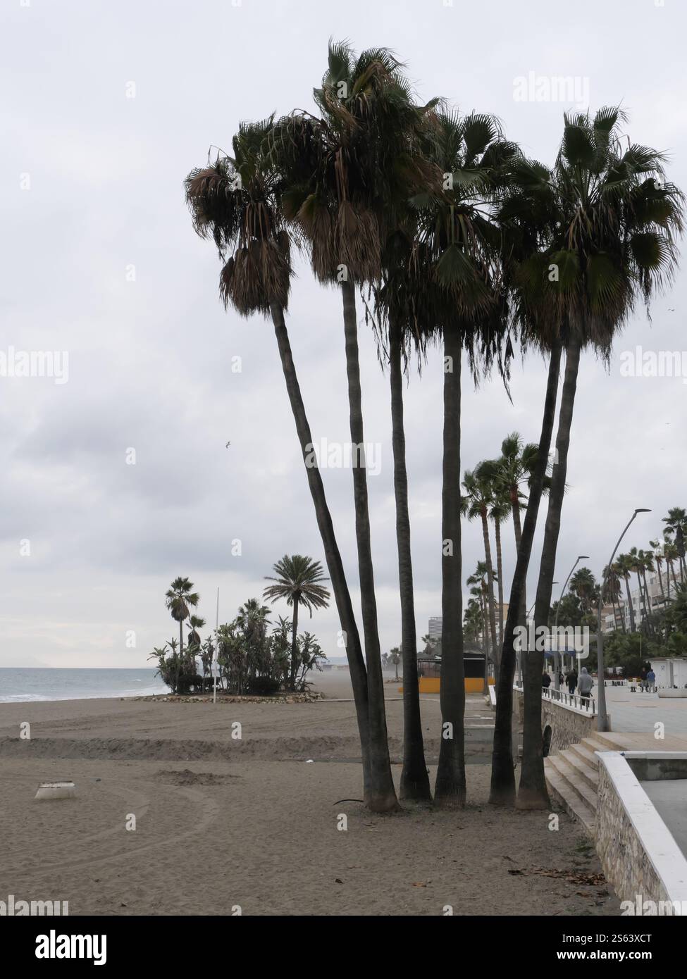 Plamen on the beach of Estepona Spain Stock Photo