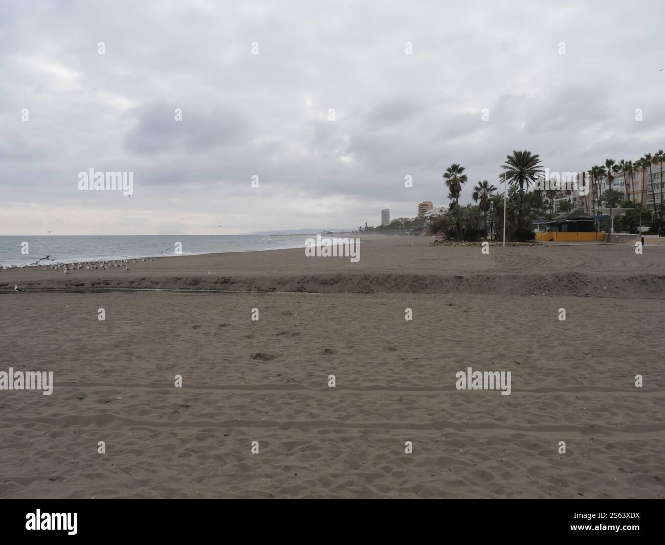 Plamen on the beach of Estepona Spain Stock Photo