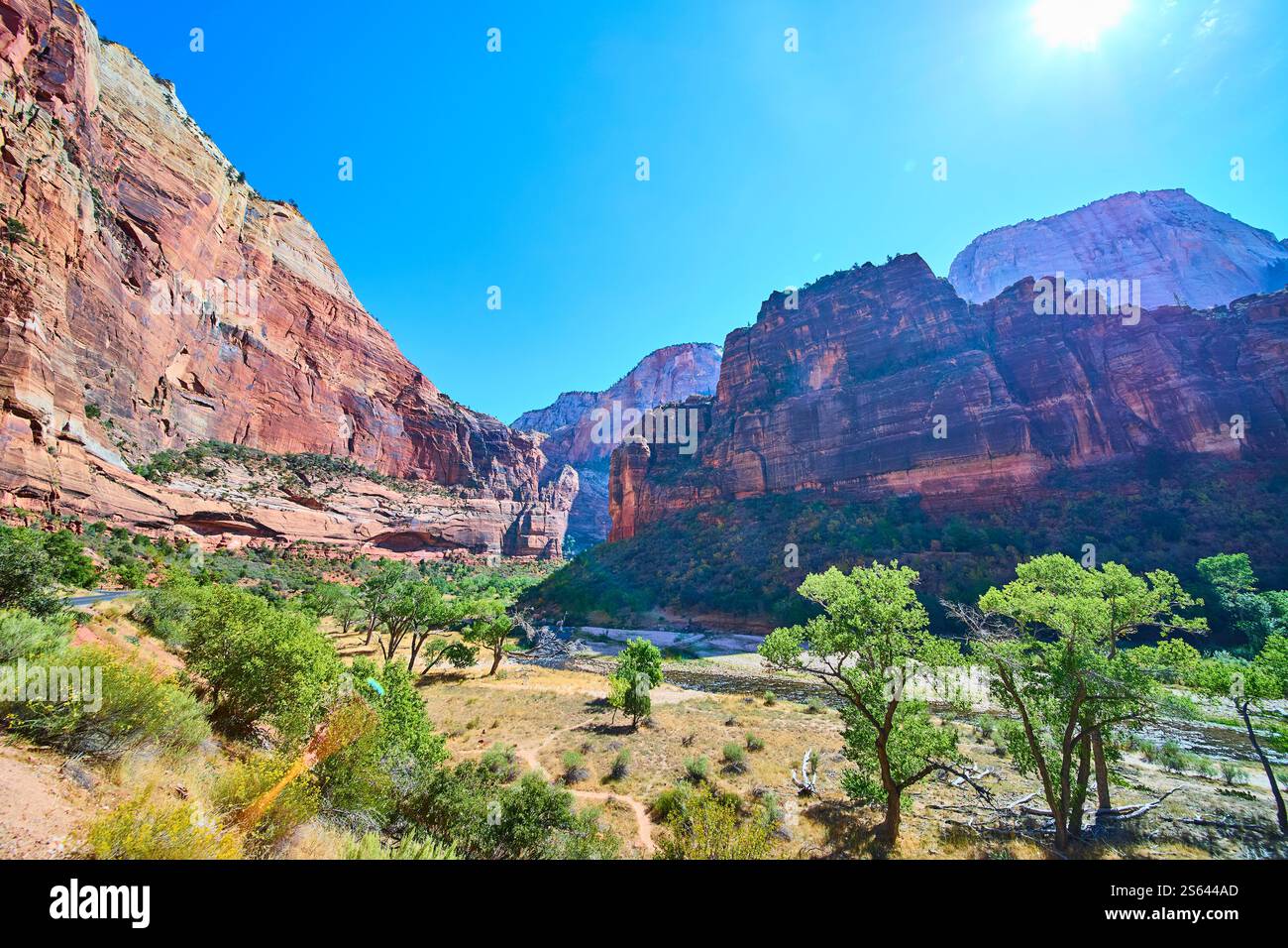 Towering Red Rock Cliffs in Zion National Park Eye-Level View Stock ...