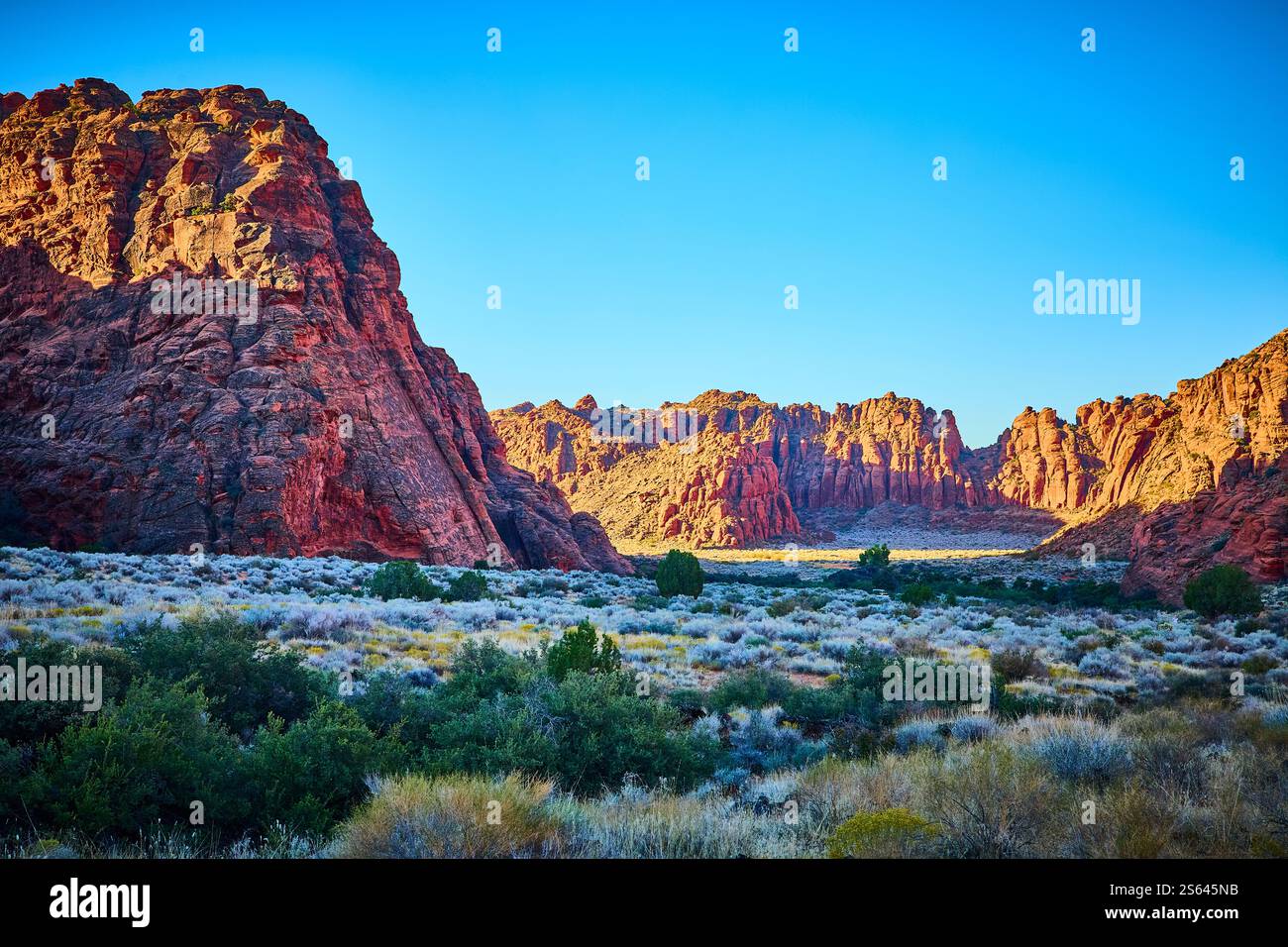 Utah Cliffs Red Rock Cliffs and Desert Vegetation at Golden Hour in Utah Stock ...