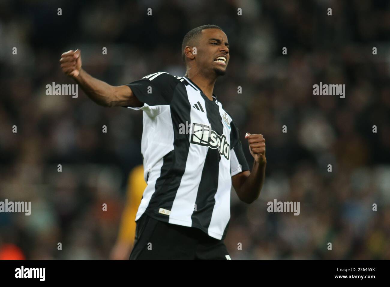 Newcastle United's Alexander Isak celebrates his second goal uring the Premier League match between Newcastle United and Wolverhampton Wanderers at St. James's Park, Newcastle on Wednesday 15th January 2025. (Photo: Michael Driver | MI News) Credit: MI News & Sport /Alamy Live News Stock Photo