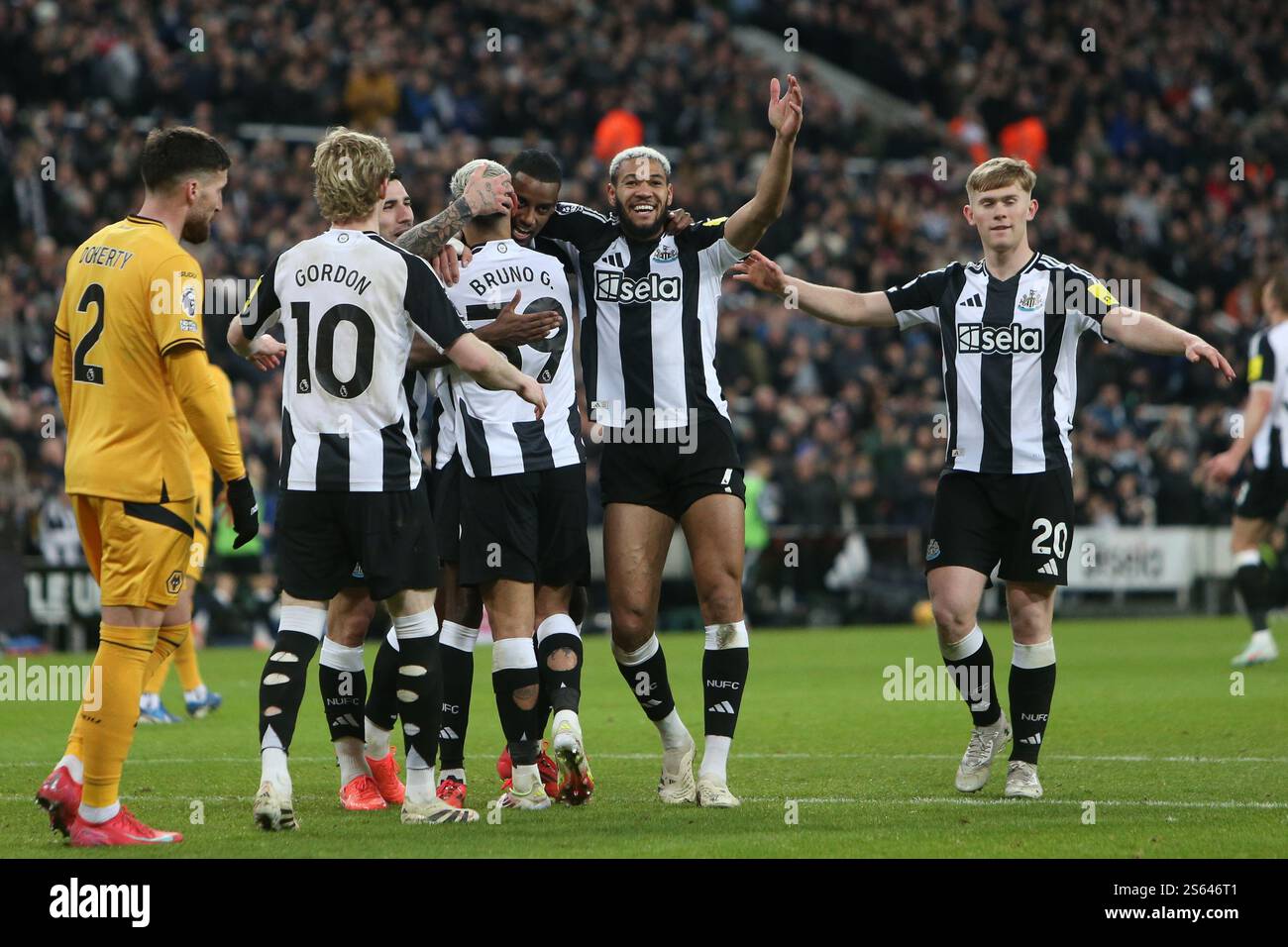 Newcastle United's Alexander Isak celebrates his second goal during the Premier League match between Newcastle United and Wolverhampton Wanderers at St. James's Park, Newcastle on Wednesday 15th January 2025. (Photo: Michael Driver | MI News) Credit: MI News & Sport /Alamy Live News Stock Photo