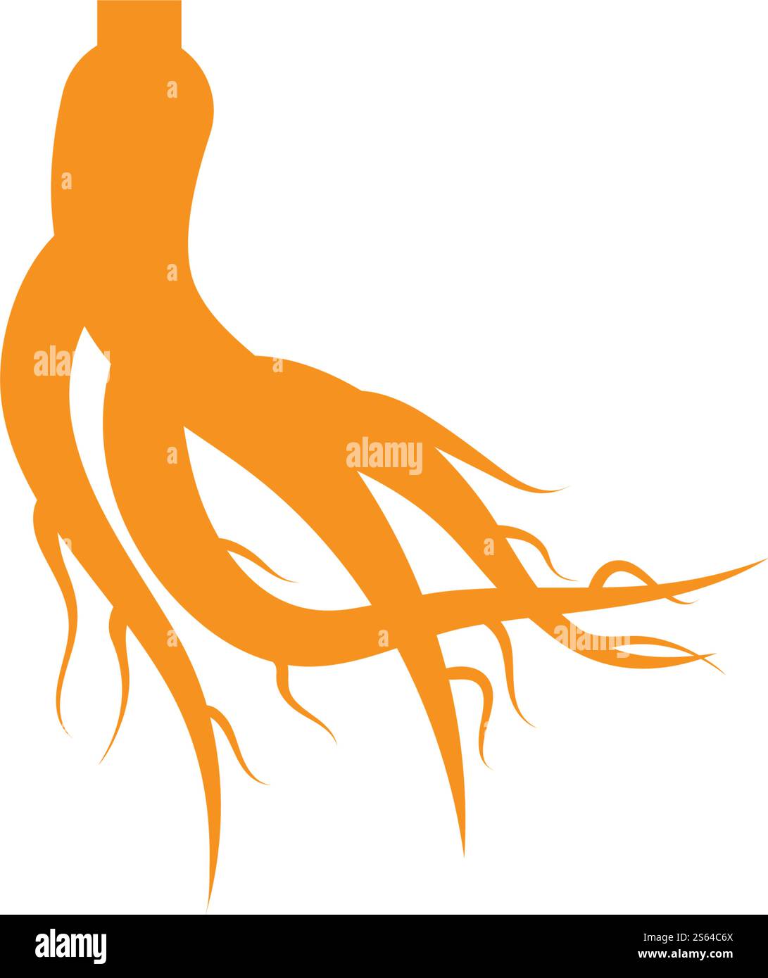 ginseng logo vector template design Stock Vector