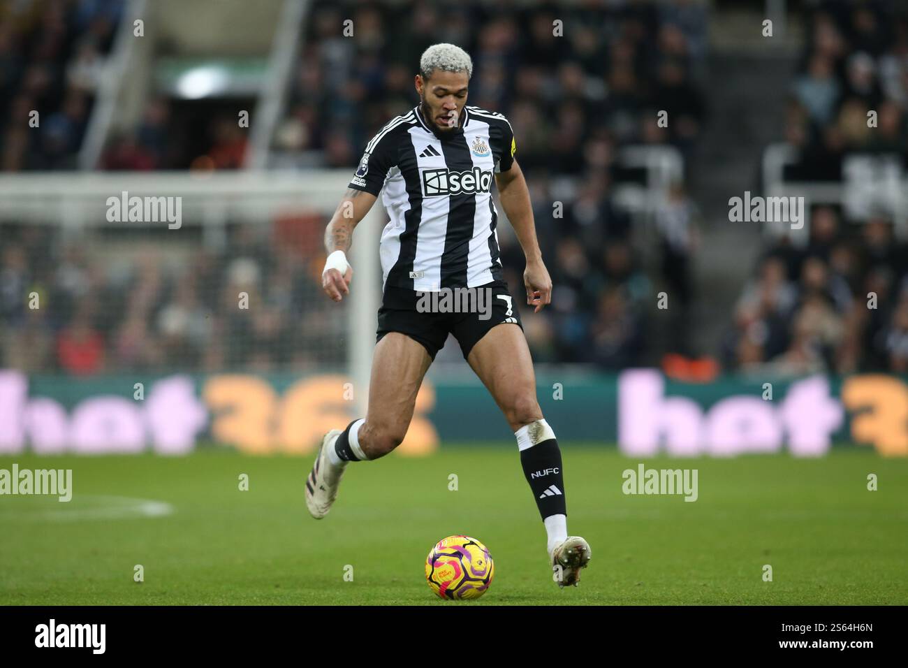 Newcastle United's Joelinton during the Premier League match between Newcastle United and Wolverhampton Wanderers at St. James's Park, Newcastle on Wednesday 15th January 2025. (Photo: Michael Driver | MI News) Credit: MI News & Sport /Alamy Live News Stock Photo