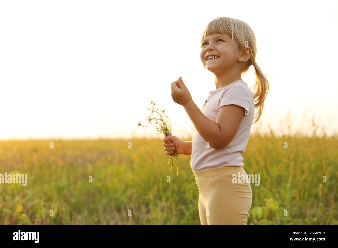 Cute little girl with chamomiles at meadow, space for text. Child ...