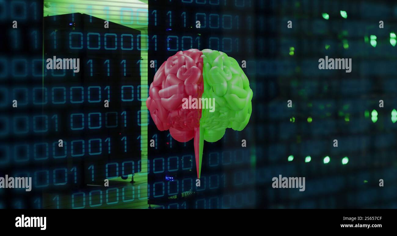 Image of human brain and binary coding data processing over computer servers Stock Photo