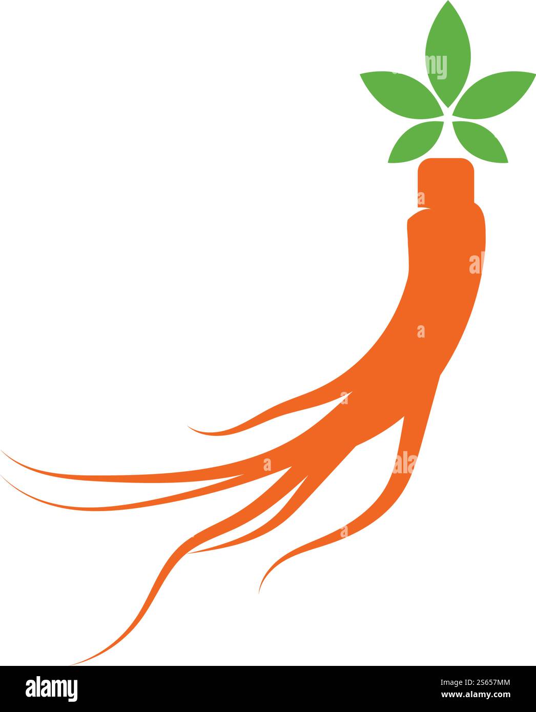 Ginseng Wave Logo Template vector symbol nature Stock Vector