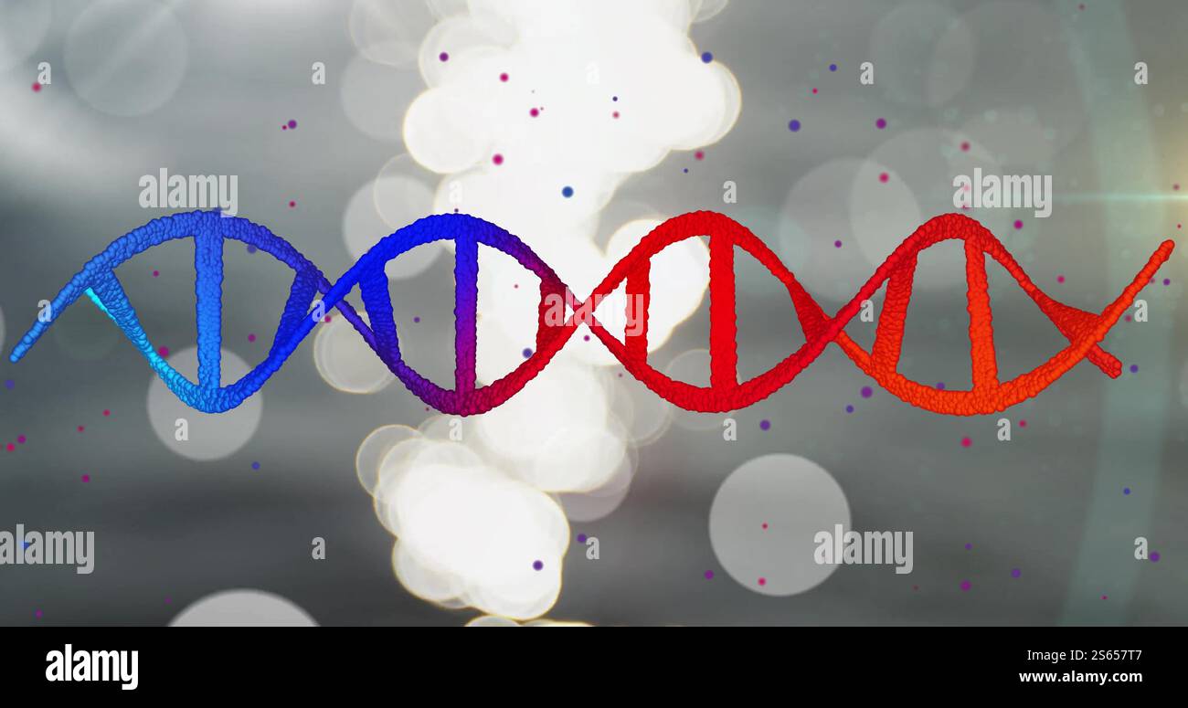 DNA strand image over bokeh lights background Stock Photo