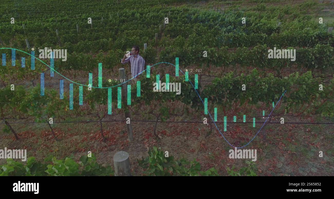 Analyzing financial data image over person in vineyard Stock Photo
