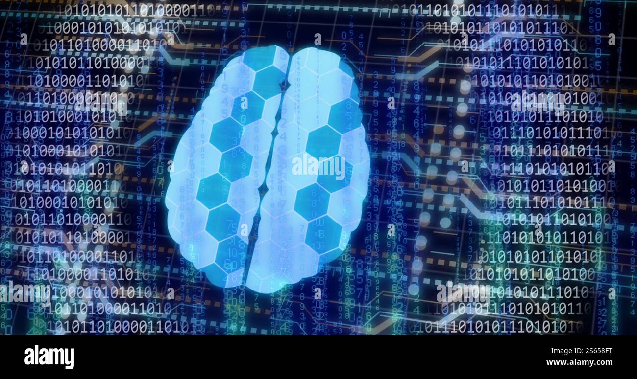 Image of digital brain with connections over binary coding Stock Photo