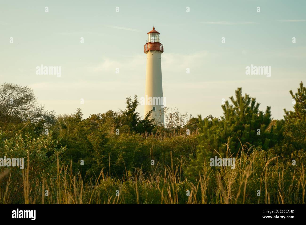 View of Cape May Lighthouse through trees, Cape May, New Jersey Stock ...