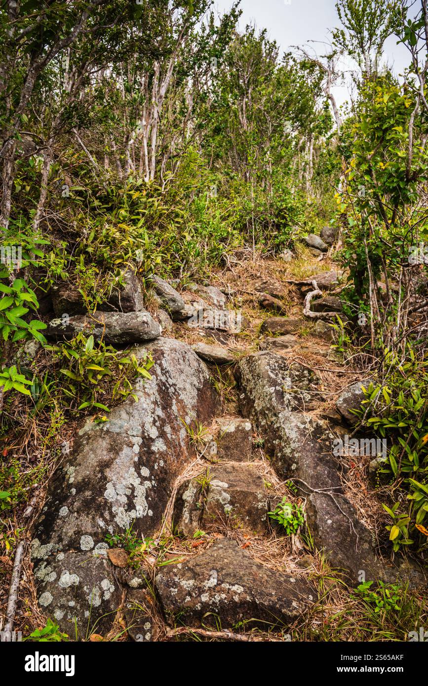 Gorda Peak National Park features a trail network leading to scenic views from  highest peak on Virgin Gorda in the British Virgin Islands. Stock Photo
