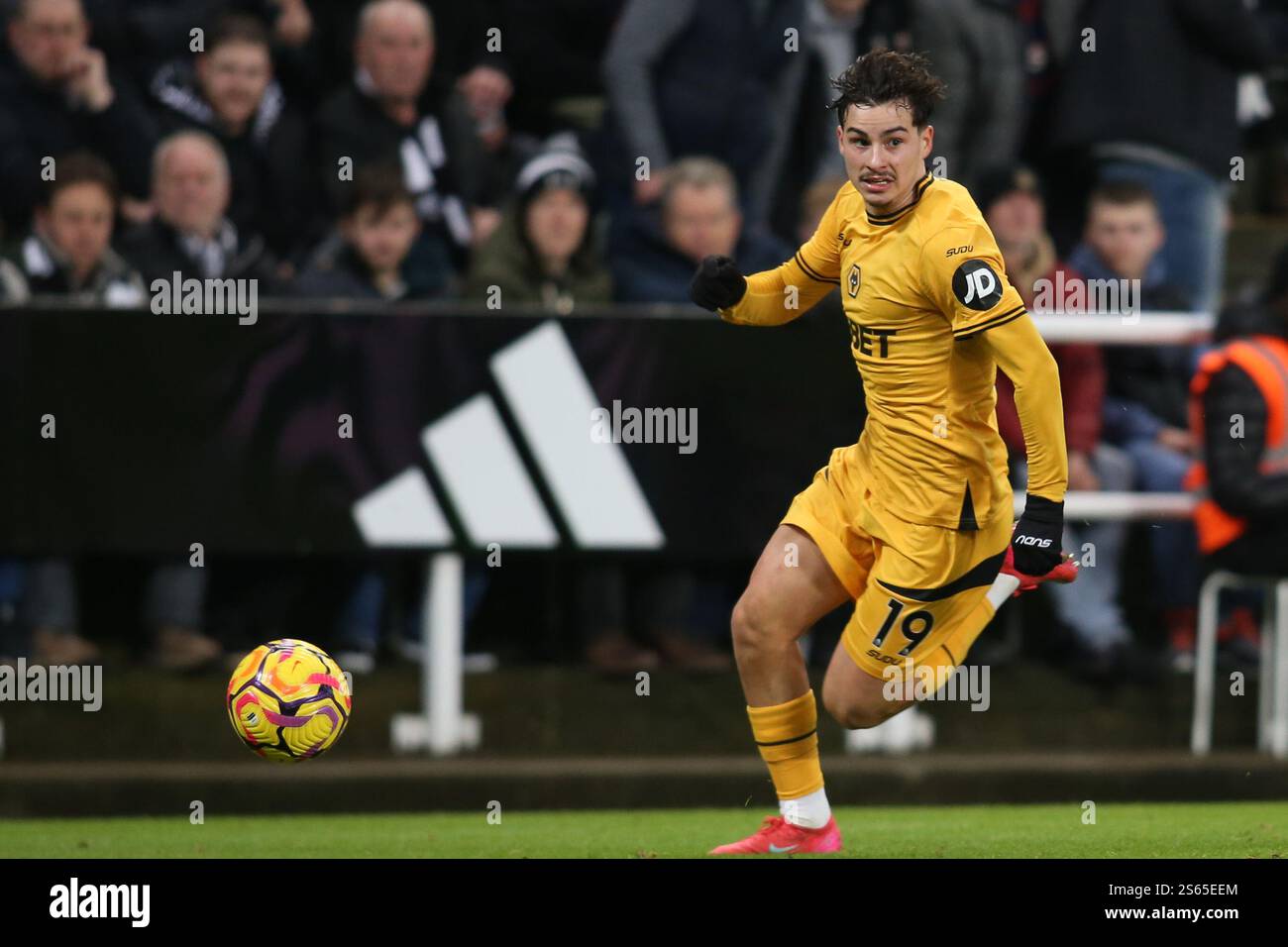 Wolverhampton Wanderers's Rodrigo Gomes during the Premier League match between Newcastle United and Wolverhampton Wanderers at St. James's Park, Newcastle on Wednesday 15th January 2025. (Photo: Michael Driver | MI News) Credit: MI News & Sport /Alamy Live News Stock Photo