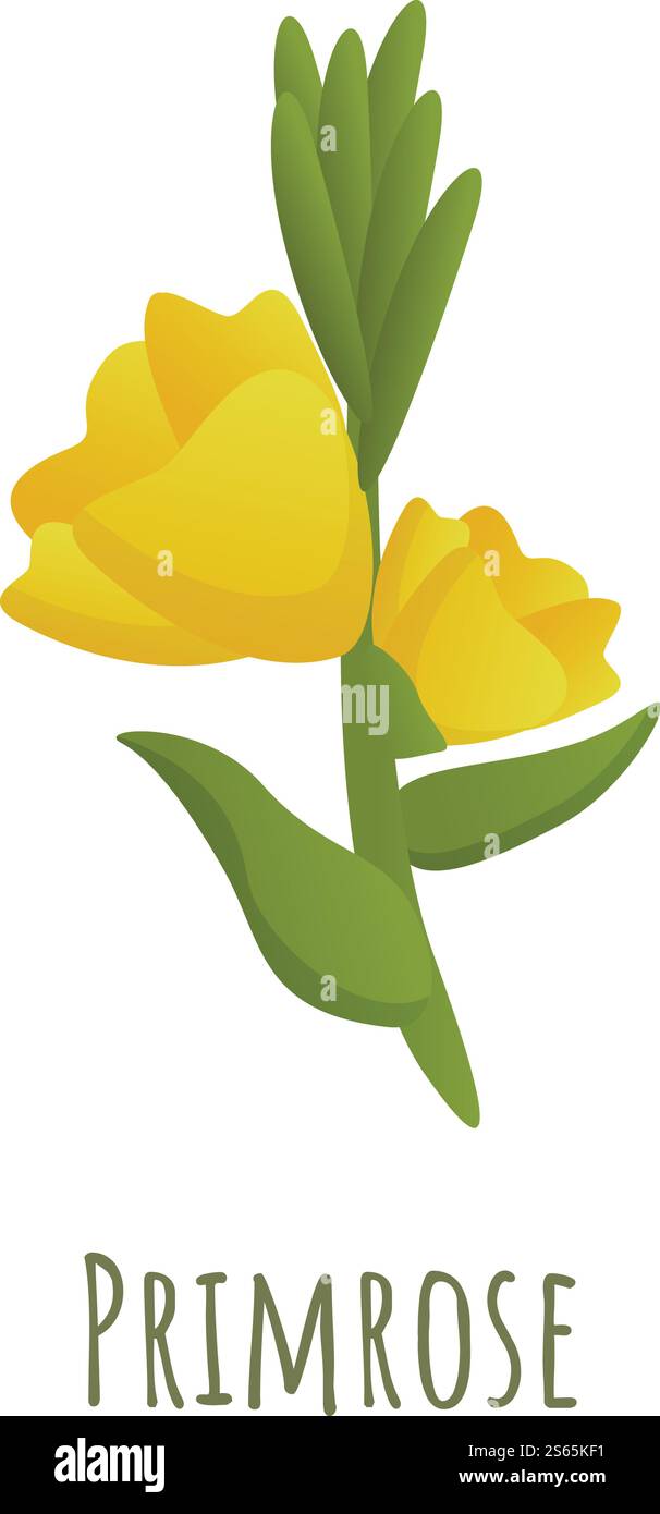 Primrose on a green background Stock Vector Images - Alamy
