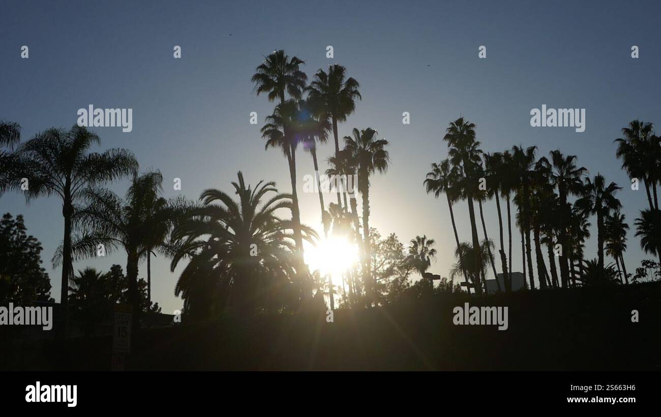 Los Angeles, California, USA 15th January 2025 Sunset and Trees during