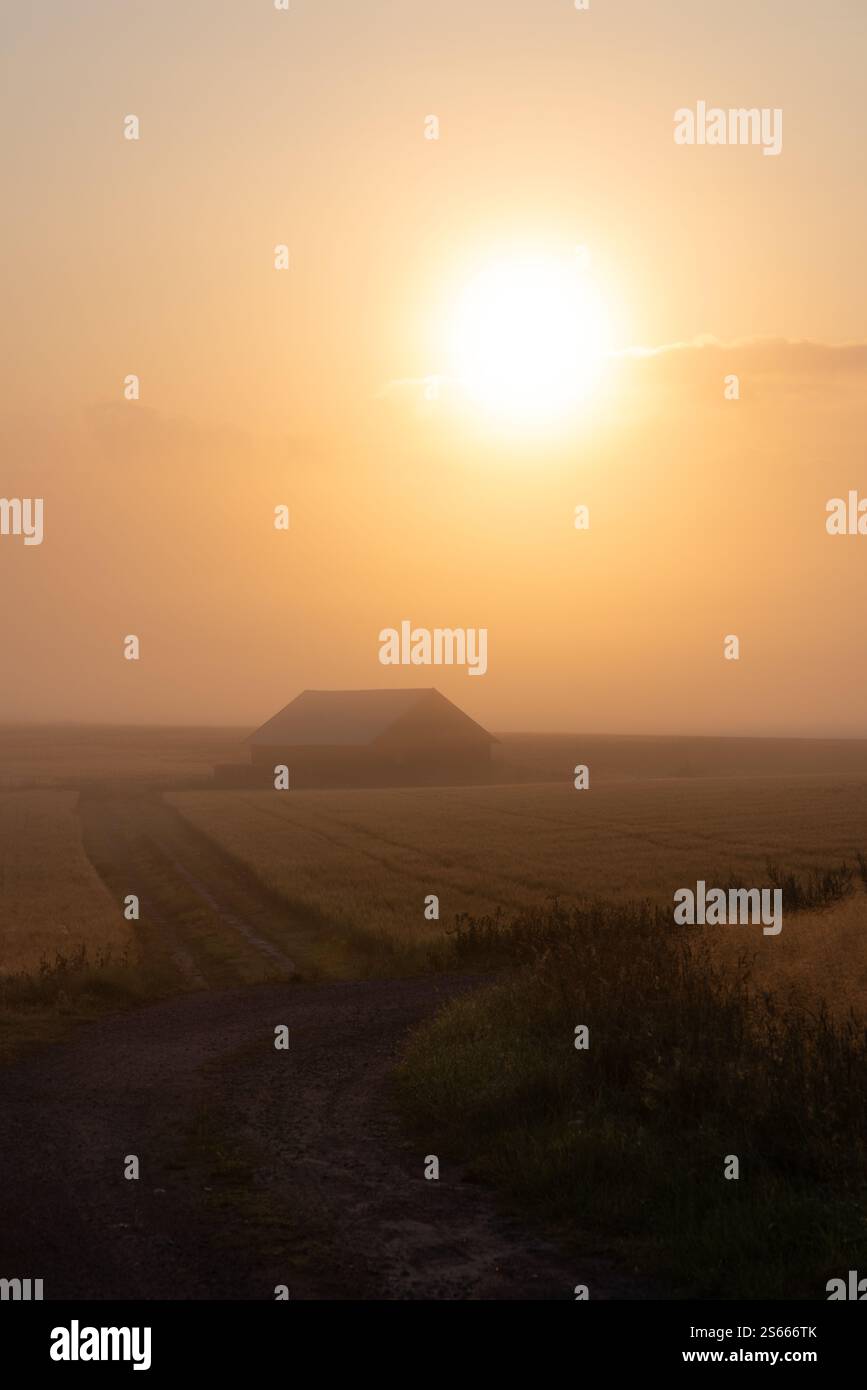 Soft misty morning sun and a barn in July in Tenhola, Raasepori, southwestern Finland Stock Photo