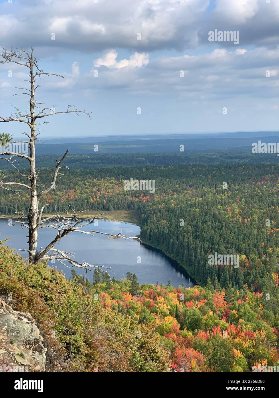 View from the mountain to the autumn Canadian forest with a lake - Smartphone Captured Stock Image