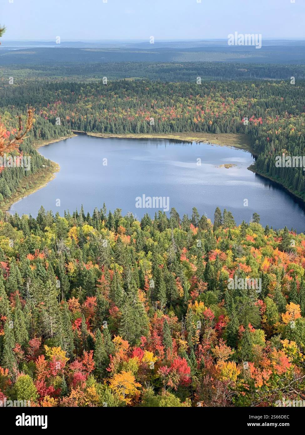 View from the mountain to the autumn Canadian forest with a lake - Smartphone Captured Stock Image