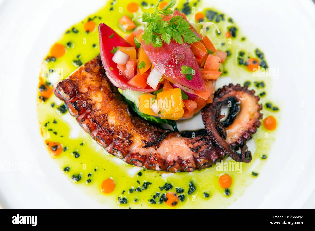 Octopus Main Course Grilled octopus salad with fresh vegetables. A healthy meal from the ...