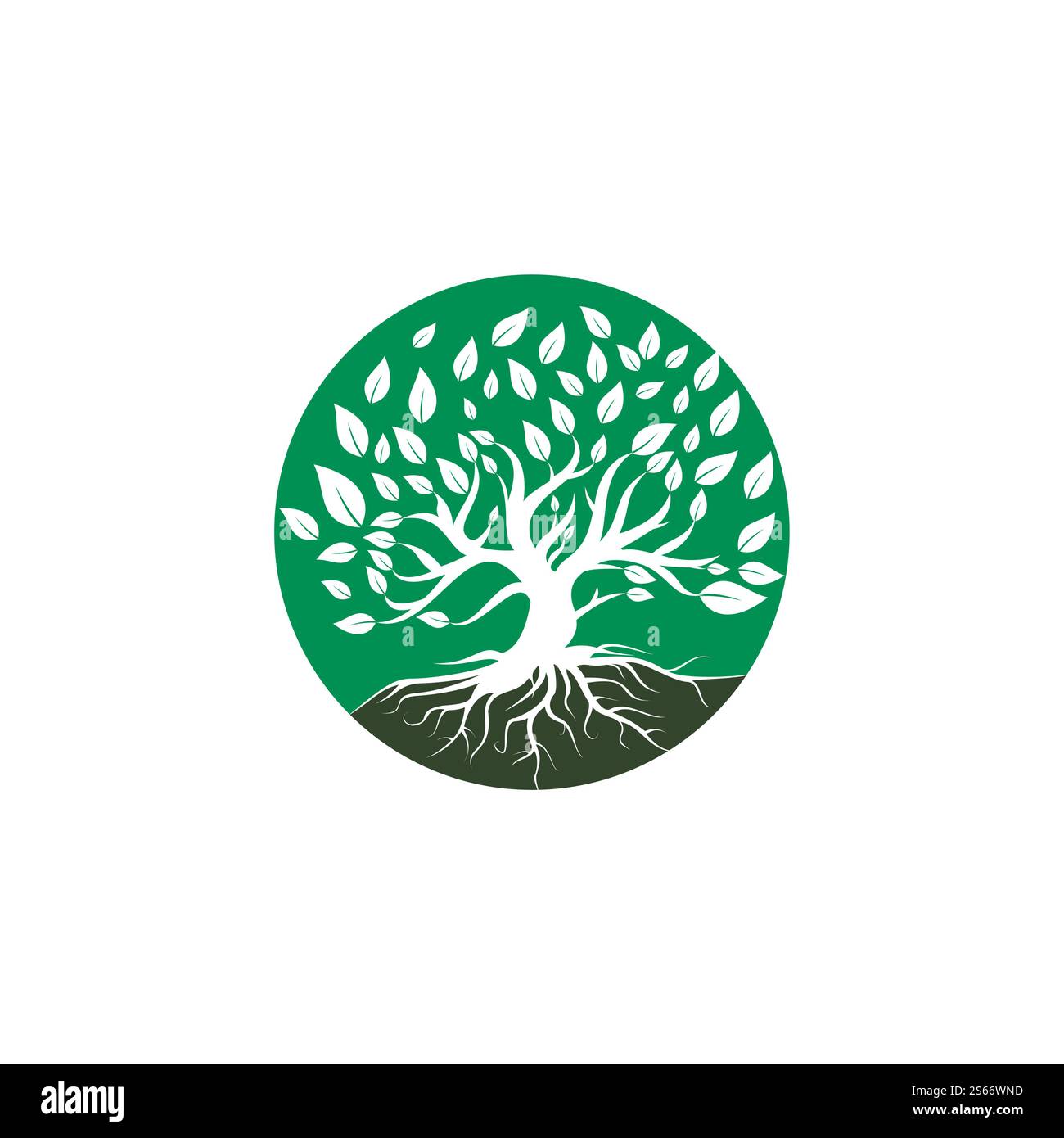 Tree root logo vector design illustration. Tree of Life logo design ...