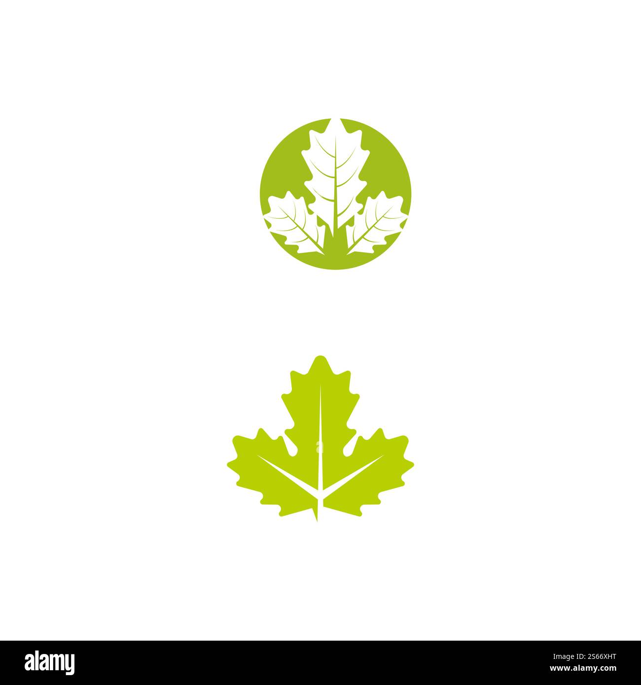 Maple leaf vector illustration design template Stock Vector Image & Art ...