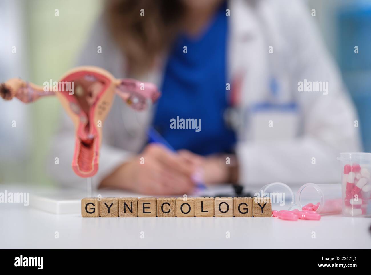 Model of Gynecology and the Role of Medical Professionals in a Clinical ...
