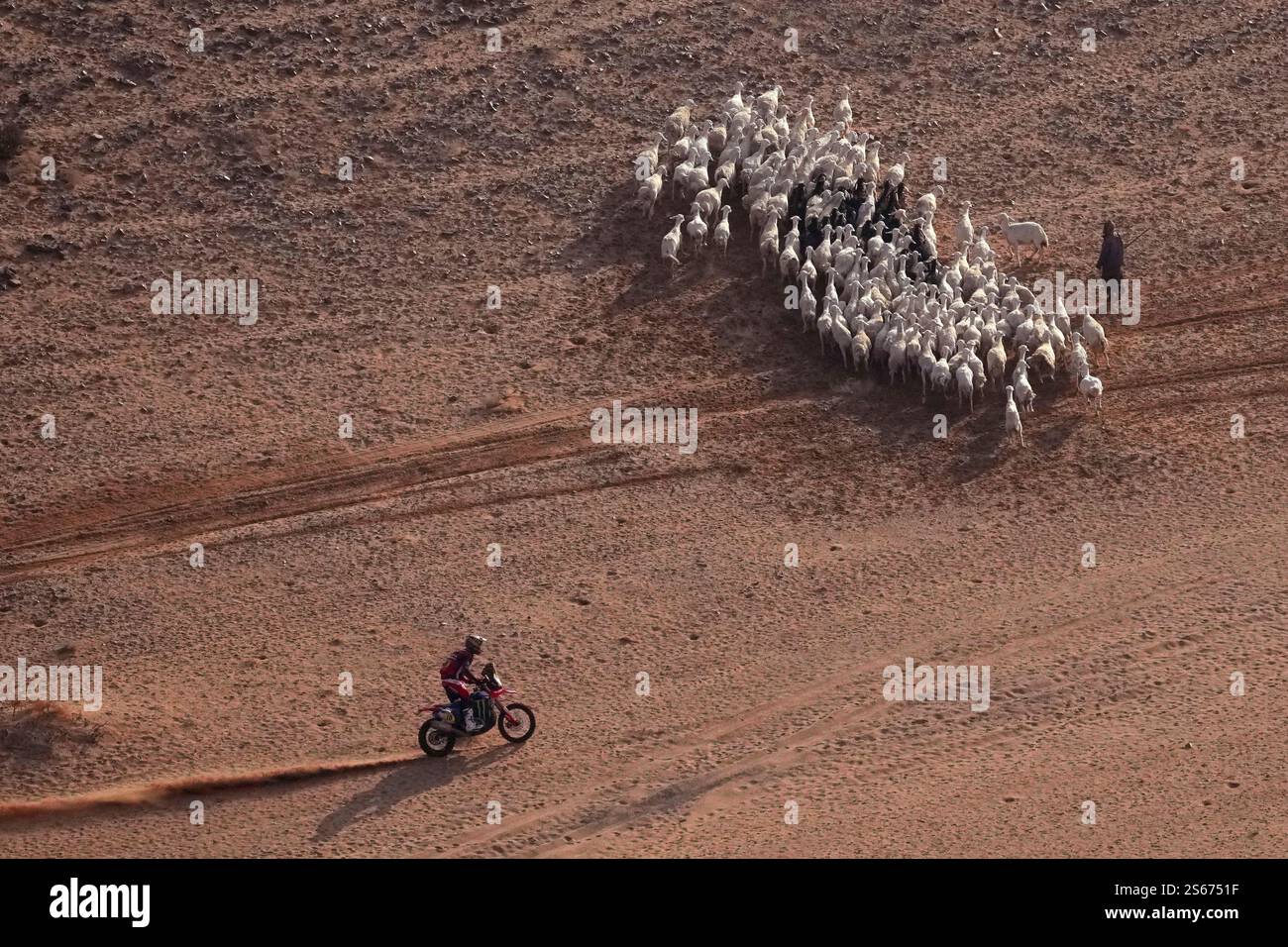 Skyler Howes rides past a herd of goats during the seventh stage of the ...