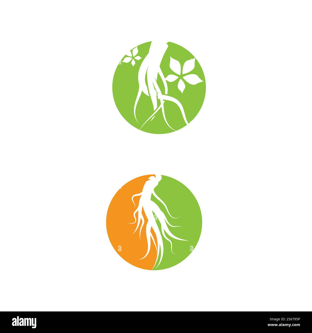 Ginseng Logo Template vector symbol nature Stock Vector