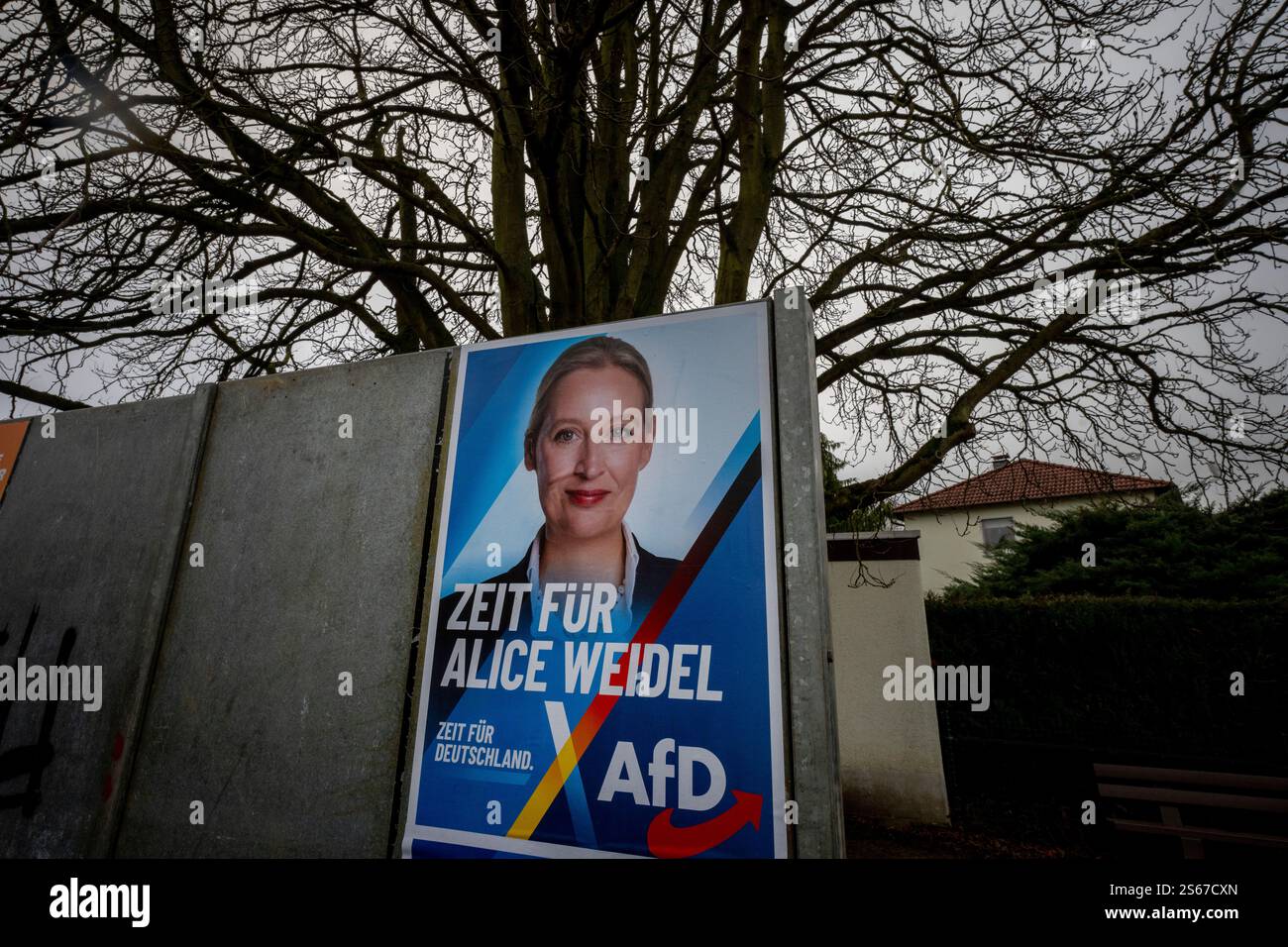 Election posters of German right wing party AfD top candidate Alice ...