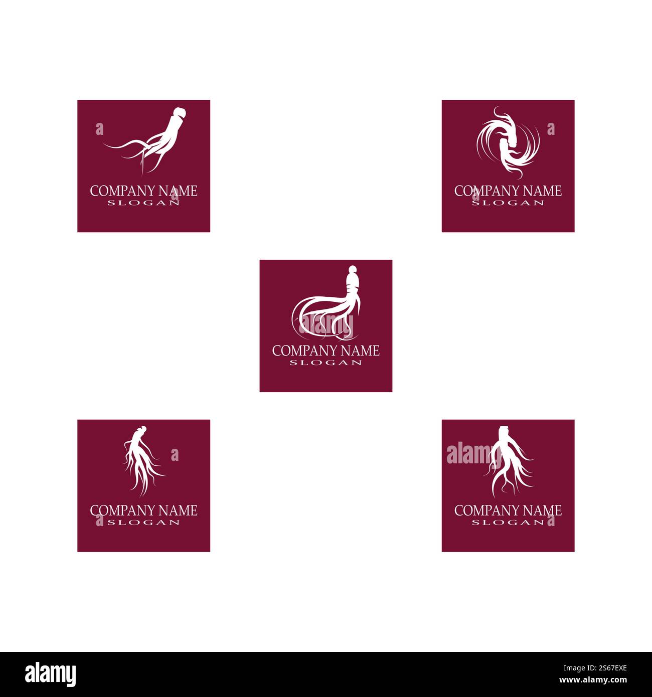 Set Ginseng Logo Template vector symbol nature Stock Vector