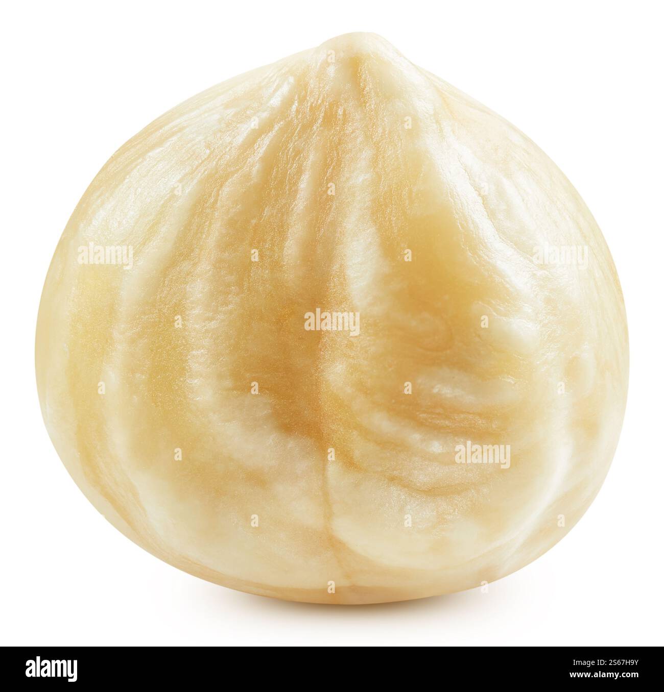 Hazelnuts isolated. Filberts on white background. Hazelnut clipping path Stock Photo
