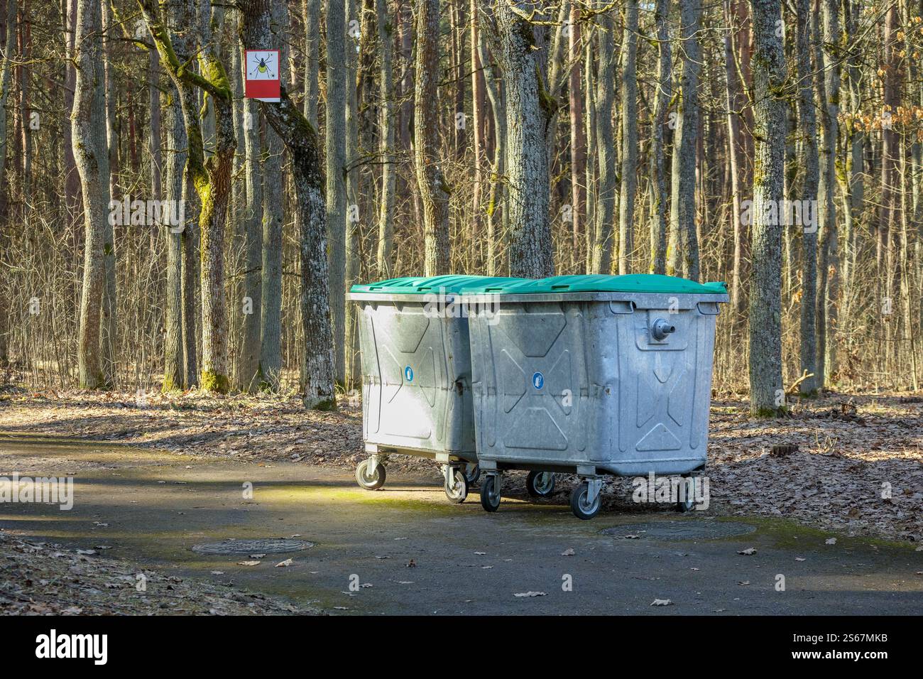 a large gray waste container with a green lid placed on a forest path ...