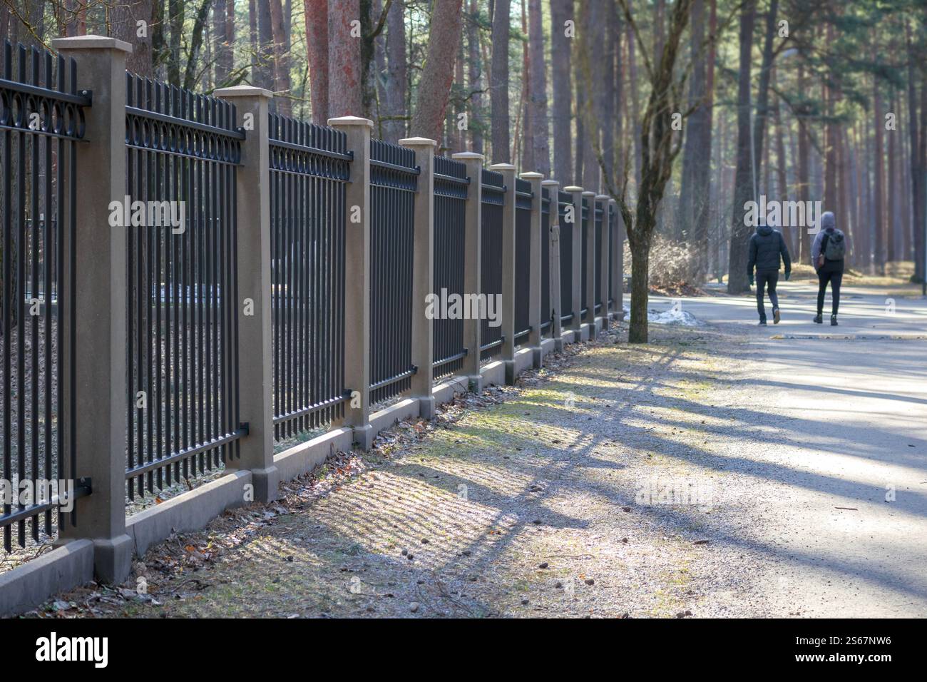 A metal fence with concrete posts stretching along a forest path along ...