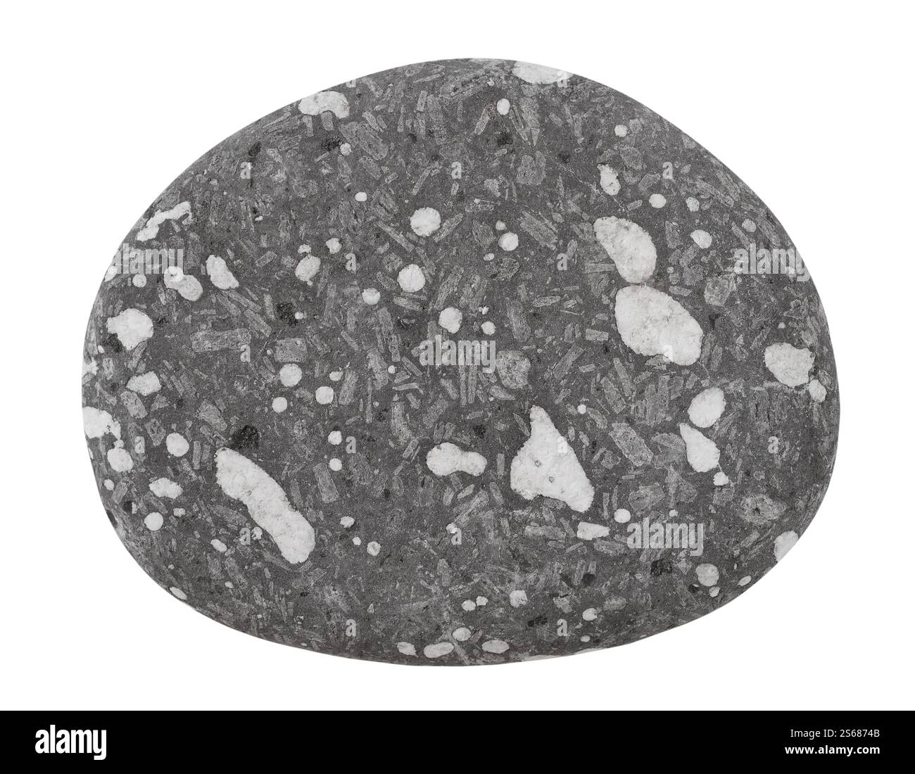 Grey Spotted Rocks A gray and white rock with white spots on it. The rock is small and has ...
