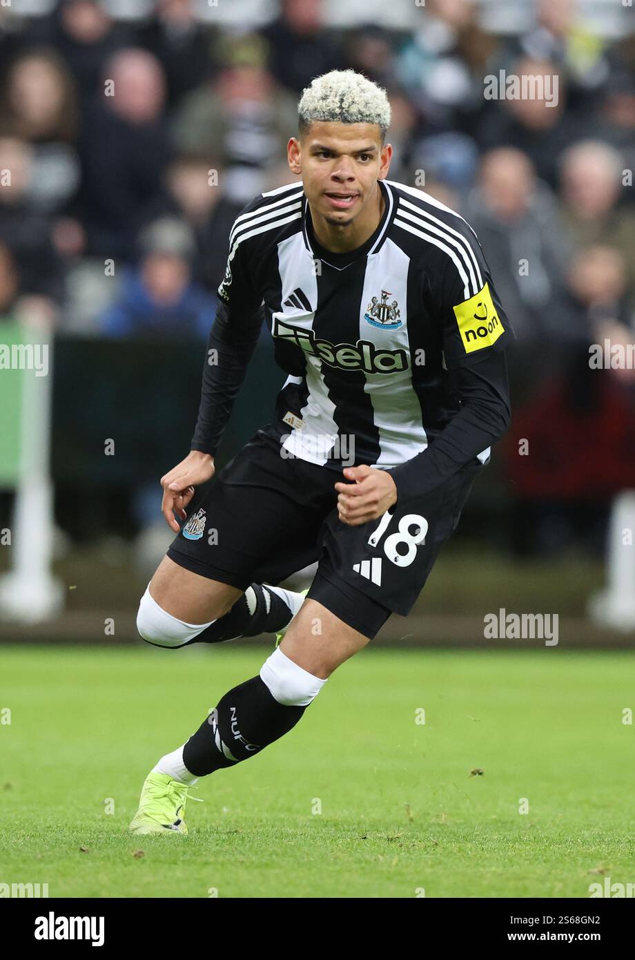Newcastle Upon Tyne, UK. 15th Jan, 2025. Will Osula of Newcastle United ...