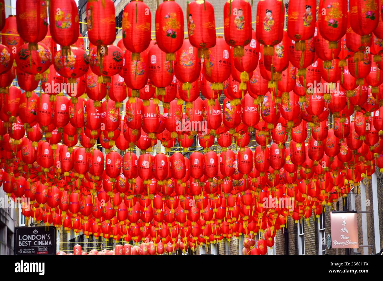 London, UK. 16th January 2025. Workers install thousands of new red