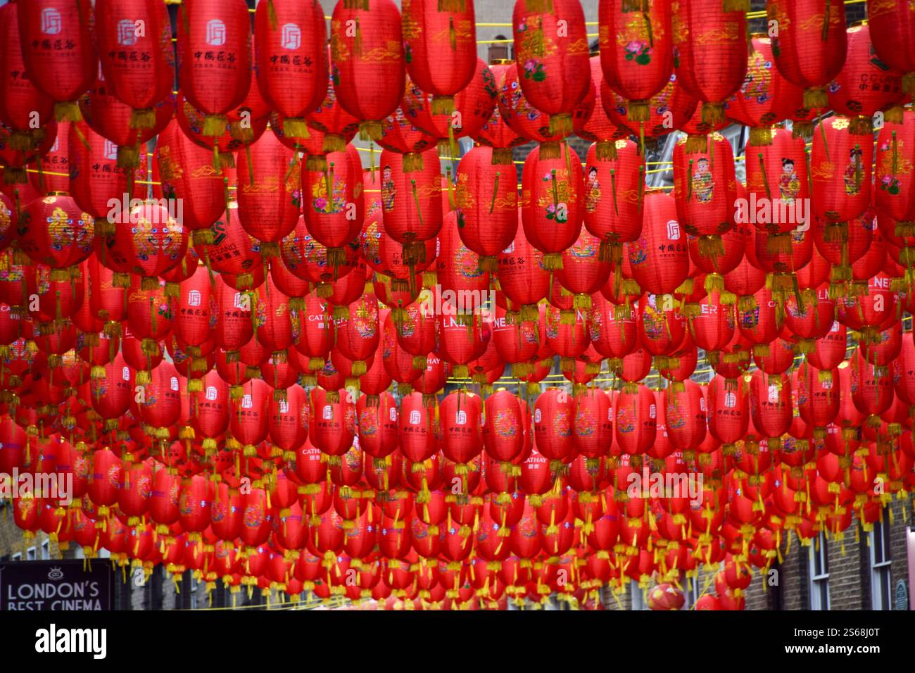 London, UK. 16th January 2025. Workers install thousands of new red