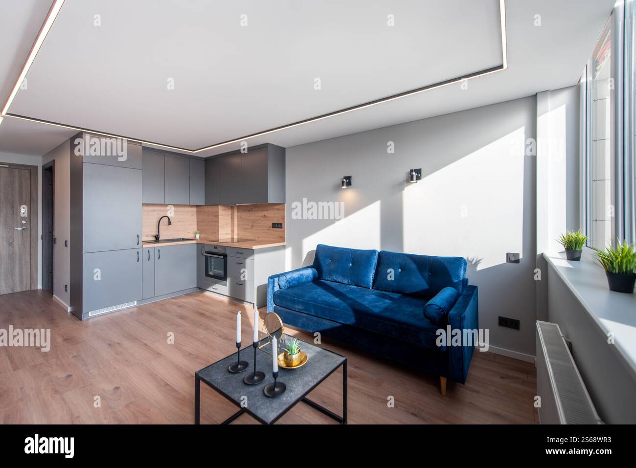 Bright and stylish open-plan apartment featuring a cozy blue sofa ...