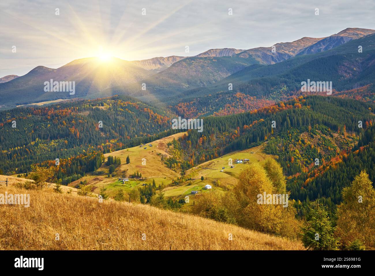 the mountain autumn landscape with colorful forest Stock Photo - Alamy