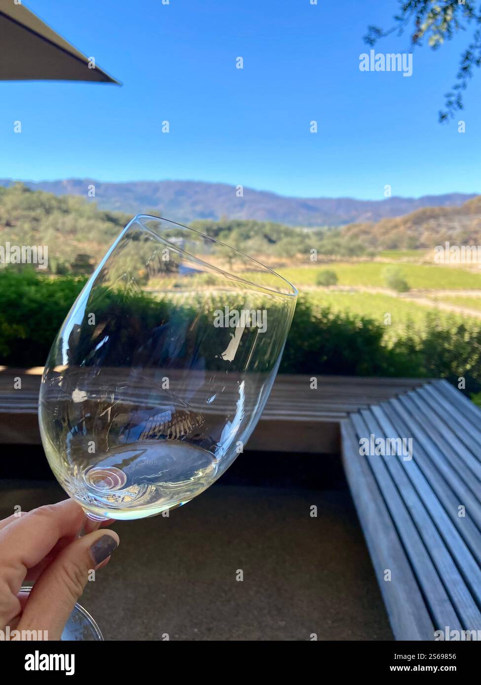 wine tasting - Smartphone Captured Stock Image